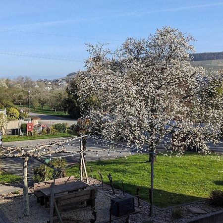 Weingut Harald Ludwig Daire Osann-Monzel Dış mekan fotoğraf
