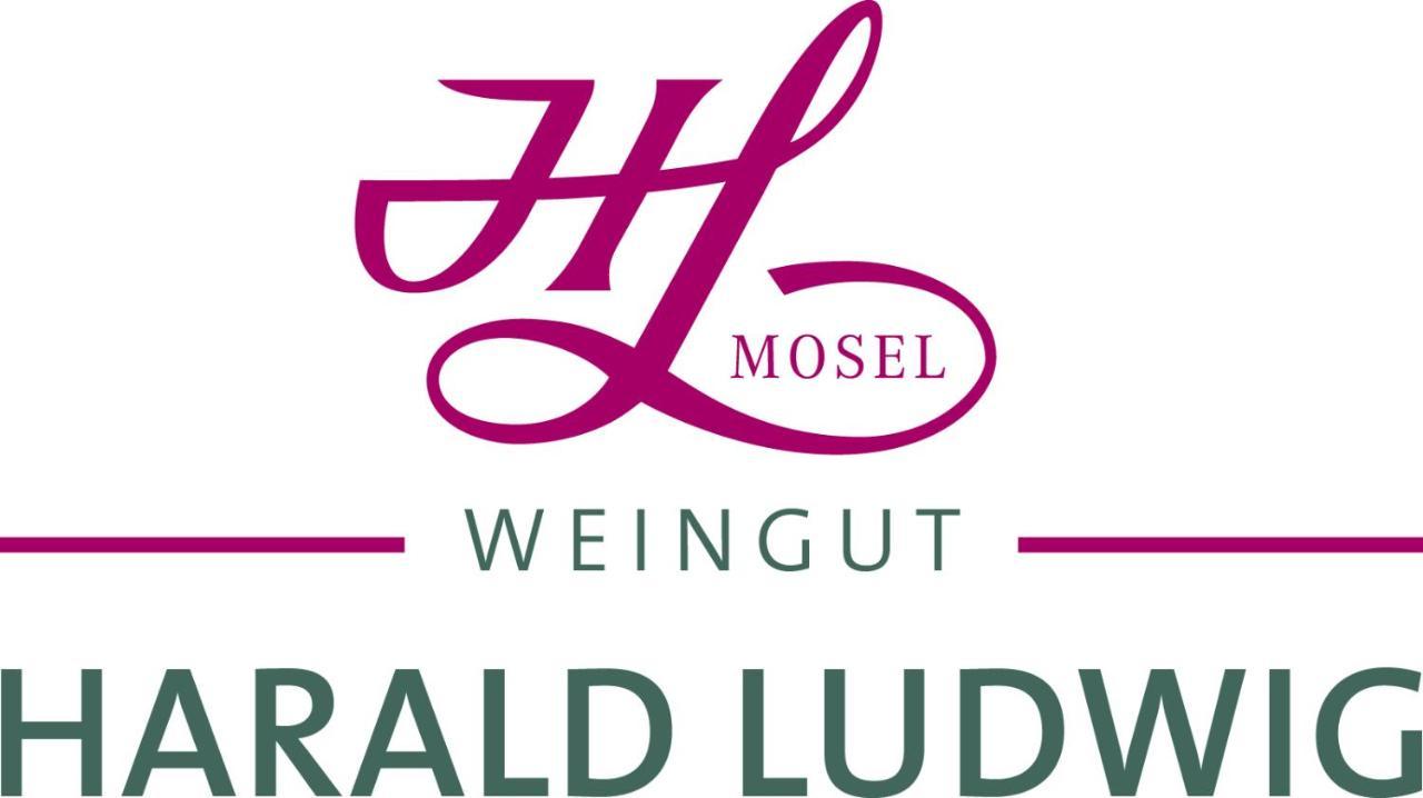 Weingut Harald Ludwig Daire Osann-Monzel Dış mekan fotoğraf