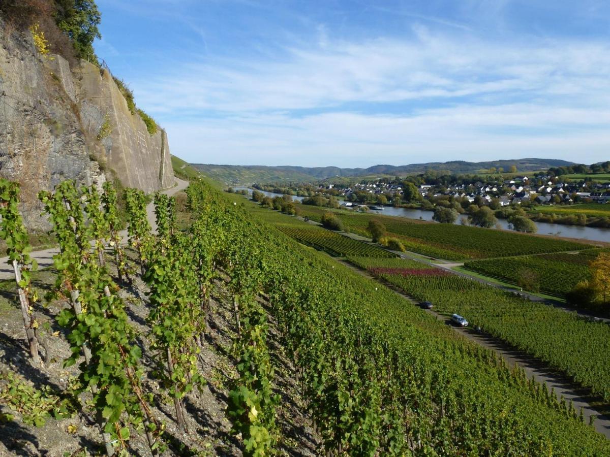 Weingut Harald Ludwig Daire Osann-Monzel Dış mekan fotoğraf