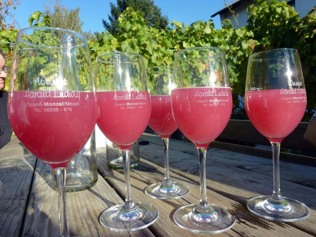 Weingut Harald Ludwig Daire Osann-Monzel Dış mekan fotoğraf