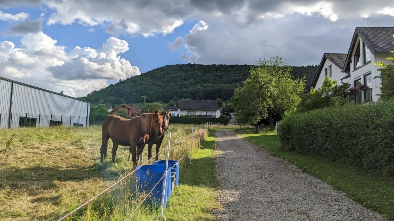 Weingut Harald Ludwig Daire Osann-Monzel Dış mekan fotoğraf