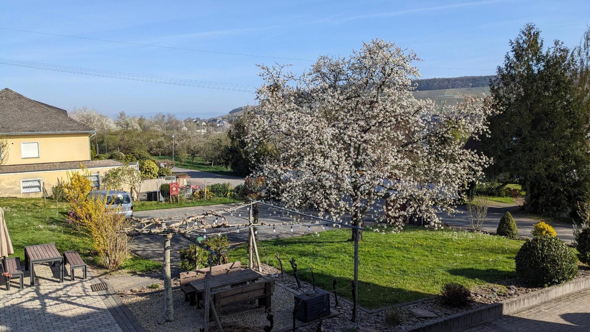 Weingut Harald Ludwig Daire Osann-Monzel Dış mekan fotoğraf